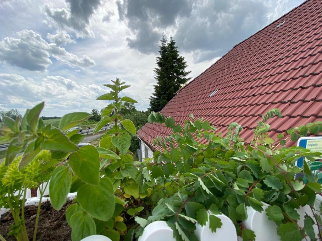 Familienhof Mueritz Apartamento Klein Plasten Exterior foto