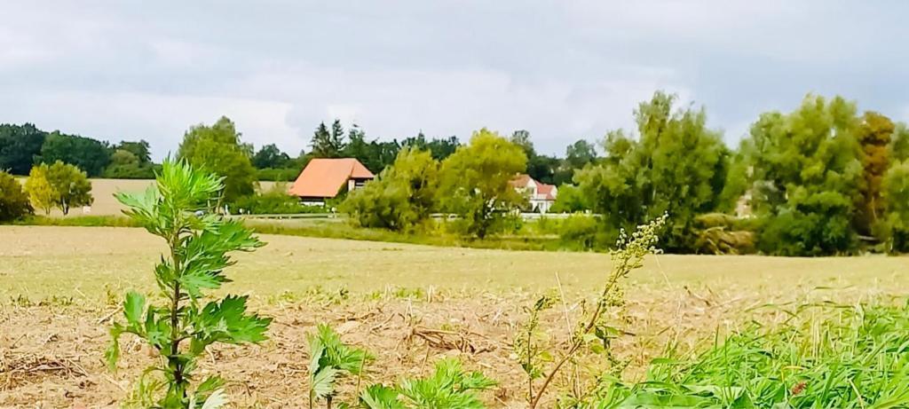 Familienhof Mueritz Apartamento Klein Plasten Exterior foto